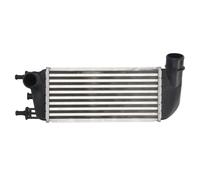 Intercooler THERMOTEC DAF010TT