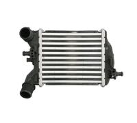 Intercooler THERMOTEC DAF017TT