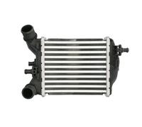 Intercooler THERMOTEC DAF018TT