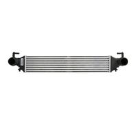 Intercooler THERMOTEC DAF019TT
