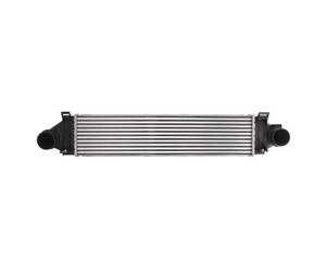 Intercooler THERMOTEC DAG006TT