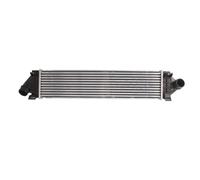 Intercooler THERMOTEC DAG007TT