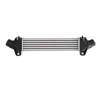 THERMOTEC DAG009TT Intercooler