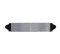 Intercooler THERMOTEC DAI001TT