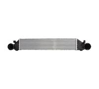 Intercooler THERMOTEC DAM005TT
