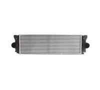Intercooler THERMOTEC DAM006TT