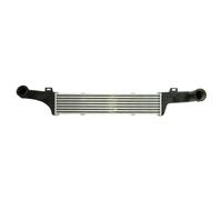 Intercooler THERMOTEC DAM010TT