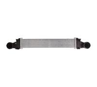 Intercooler THERMOTEC DAM011TT