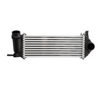Intercooler THERMOTEC DAM019TT
