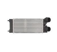 Intercooler THERMOTEC DAP002TT