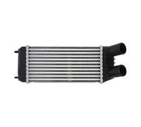 Intercooler THERMOTEC DAP006TT