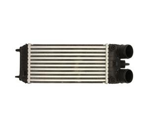 Intercooler THERMOTEC DAP007TT