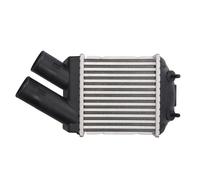 Intercooler THERMOTEC DAR001TT