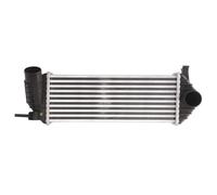 Thermotec Intercooler DAR006TT