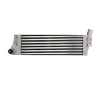Intercooler THERMOTEC DAR012TT