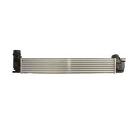 Thermotec Intercooler DAR021TT