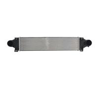 THERMOTEC DAV007TT Intercooler