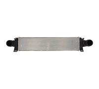 Intercooler THERMOTEC DAV008TT