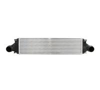 Intercooler THERMOTEC DAV012TT