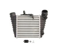 Intercooler THERMOTEC DAW006TT
