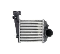 Intercooler THERMOTEC DAW013TT