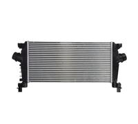 Intercooler THERMOTEC DAX012TT