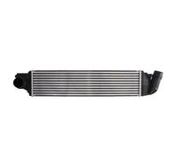 Intercooler THERMOTEC DAX018TT