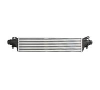 Intercooler THERMOTEC DAX037TT