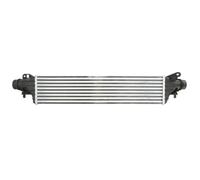 Intercooler THERMOTEC DAX038TT