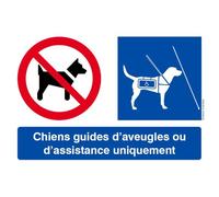 Interdit Sauf Chiens Guides (29x20cm) - Sticker / Autocollant