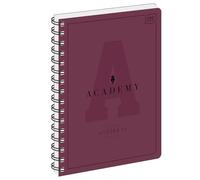 Interdruk ACADEMY Cahier à carreaux Format B5 (17 x 22 cm) Couverture en plastique et 3 intercalaires à onglets Reliure spirale 200 pages Papier 90 g/m² Qualité supérieure Super lisse Coins arrondis