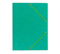 Interdruk Teguprez File Folder avec bande élastique A4 Carte, Vert - Version Anglaise