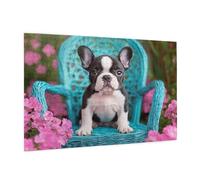 Intéressant Puzzle 5000 Pièces Adultes Puzzle Chien Motif Design avec Emballage Cadeau pour Cadeau Femme, Activité Familiale Stimulante Débutants pour Decoration Murale Maison 105 x 156 cm -1057Y