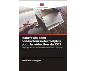 Interfaces semi-conducteurs/électrolytes pour la réduction du CO2: Recyclage du CO2 en carburants et produits chimiques