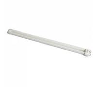 Interfit - Lampe-tube 55W OSRAM pour Super Cool-Lite 4 & 6 - INT039