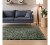 Interiyou Tapis Poils Longs Sofia - 120x170 Vert Clair - Moelleux et uni - Lavable et antidérapant - Fibres Douces pour Salon, Salle à Manger, Cuisine, Couloir