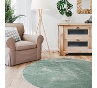 Interiyou Tapis Salon Fargo à Poils Ras - 80x80 Rond Vert - Fausse Fourrure Douce - Lavable et antidérapant - Texture Moelleuse - pour Chambre, Bureau, Couloir