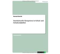 Interkulturelle Kompetenz In Schule Und Schulsozialarbeit