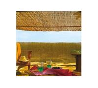 INTERMAS - Brise vue en roseau 75% occultant 2 x 5 m REEDCANE G