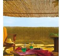 Brise vue en roseau 75% occultant 2 x 5 m REEDCANE