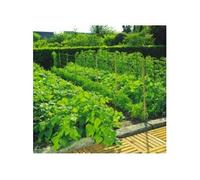 Filet pour jardin GENERIQUE INTERMAS - Filet à ramer 2 x 10 TRELLINET