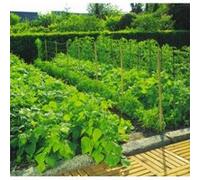 INTERMAS - Filet à ramer 2 x 10 TRELLINET G