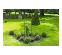 INTERMAS - Treillis en métal 0,30 x 1,2 CLASSIC METAL TRELLIS