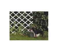 Intermas Treillis extensible blanc 0,5 x 1,5 m