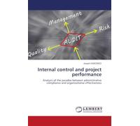 Internal control and project performance: Analysis of the paradox between administrative compliance and organizational effectiveness