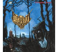Internal Decay A Forgotten Dream (Vinyl) 12" Album