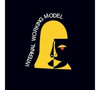 INTERNAL WORKING MODEL