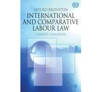 International And Comparative Labour Law