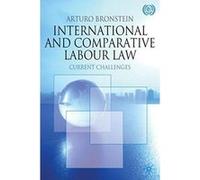 International and Comparative Labour Law Arturo Bronstein (Auteur)