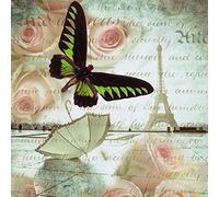 International Graphics - Image prête à l‘accroche - Assaf, Frank - ''Butterfly II''- 30 x 30 cm - Impression directe sur verre acrylique